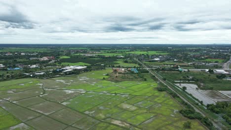 Campos-De-Arroz-En-La-Provincia-De-Ratchaburi,-Tailandia