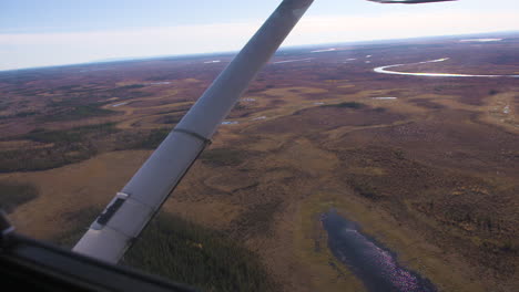 bush plane flying in alaska