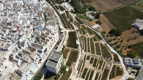 vista aérea sobre las casas de la aldea de locorotondo y el viñedo de la terraza, ciudad tradicional italiana en la cima de una colina, en un día soleado