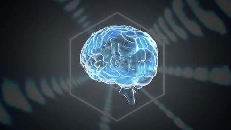 animación del cerebro sobre un fondo negro