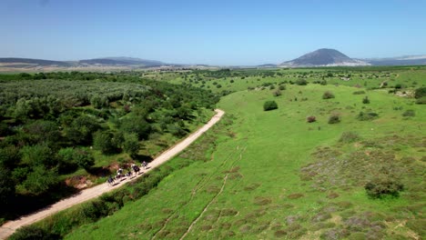 horse riding in the nature 4