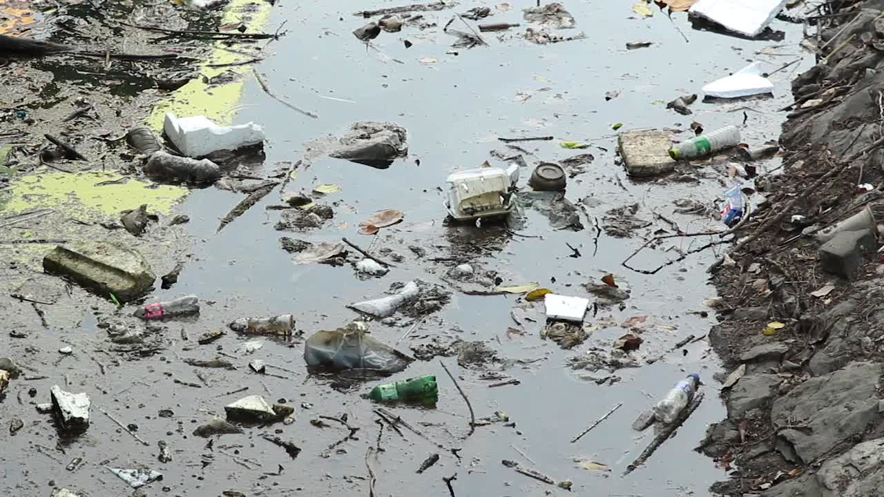 mucha botella de agua flotando en el agua