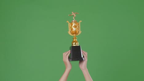 raised hands of a man are holding a trophy. green screen background