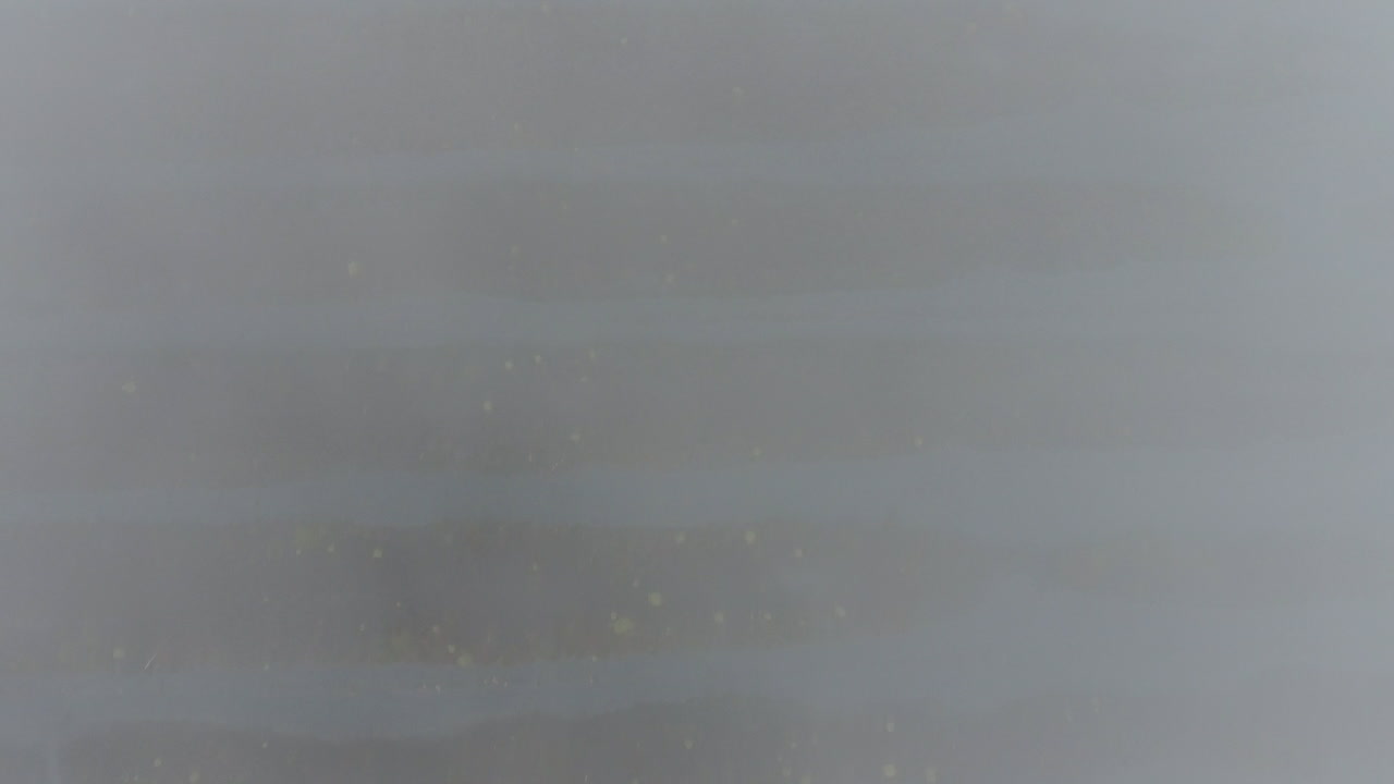 안개가 자욱한 가을 숲 공중 드론 샷