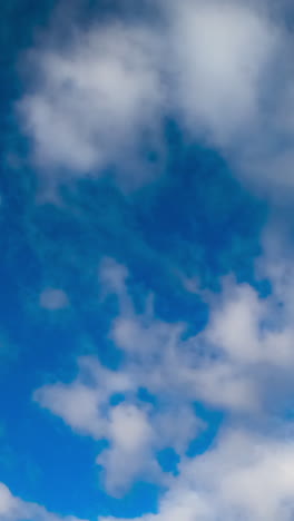 blue summer sky with little soft white clouds floating quickly. low angle view. timelapse. vertical video