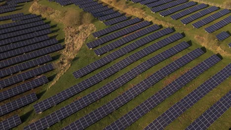 Zahlreiche-Reihen-Von-Photovoltaikmodulen-Stehen-Auf-Einer-Saftig-Grünen-Wiese