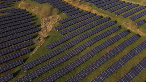 Numerous-rows-of-photovoltaic-panels-standing-on-a-lush-green-meadow