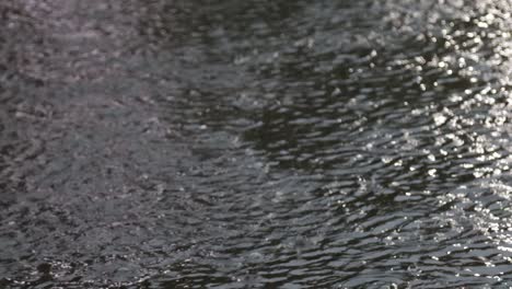 heavy rain, raindrops on the surface of the river with an irregular pattern