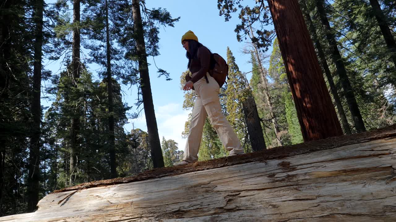Kvinde går og udforsker på et væltet sequoiatræ i en skov