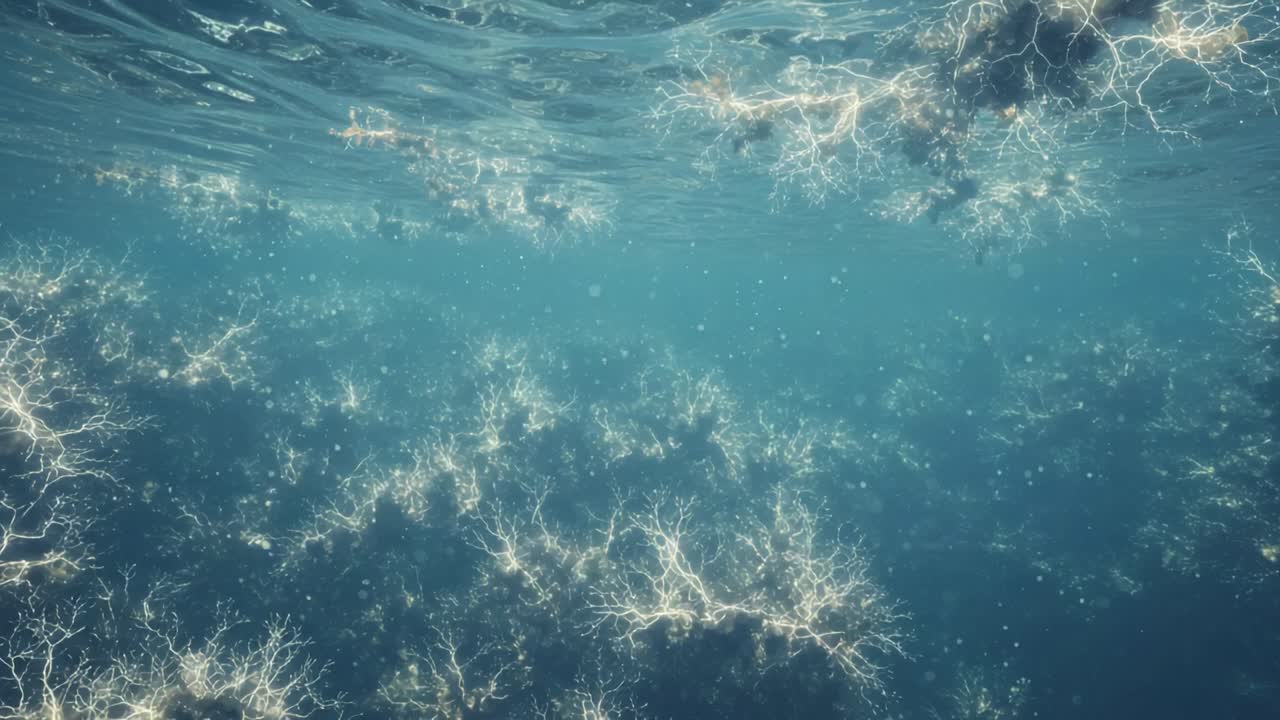 Beneath the Surface: A Captivating Dance of Glimmering Bioluminescent Algae and Underwater Flora in a Serene Aquatic World