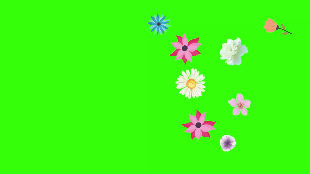 초록색 화면에서 봄 꽃 애니메이션 요소의 그룹 크로마 키