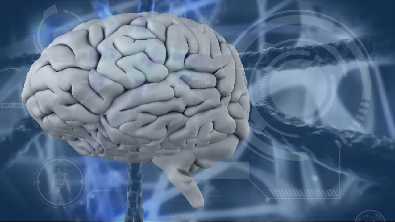 video generado digitalmente del cerebro humano 4k