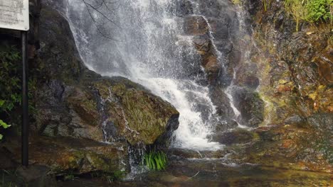 Waterfall-with-fast-current-surrounded-by-lush-green-nature