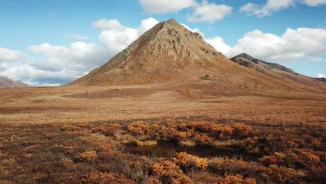 beautiful natural orange and blue colors in northern yukon during autumn