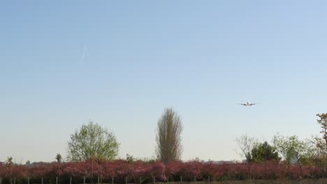 jet plane boeing 737-6d6 approaching landing