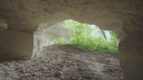 dentro de una cantera de piedra caliza con árboles