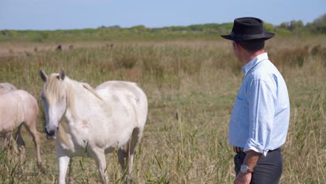 La-Conexión-Entre-Un-Vaquero-Con-Sus-Caballos-En-Camargue,-Francia