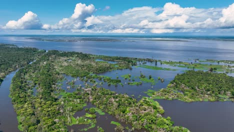 Natur-Tropischer-Amazonaswald-In-Amazonas-Brasilien