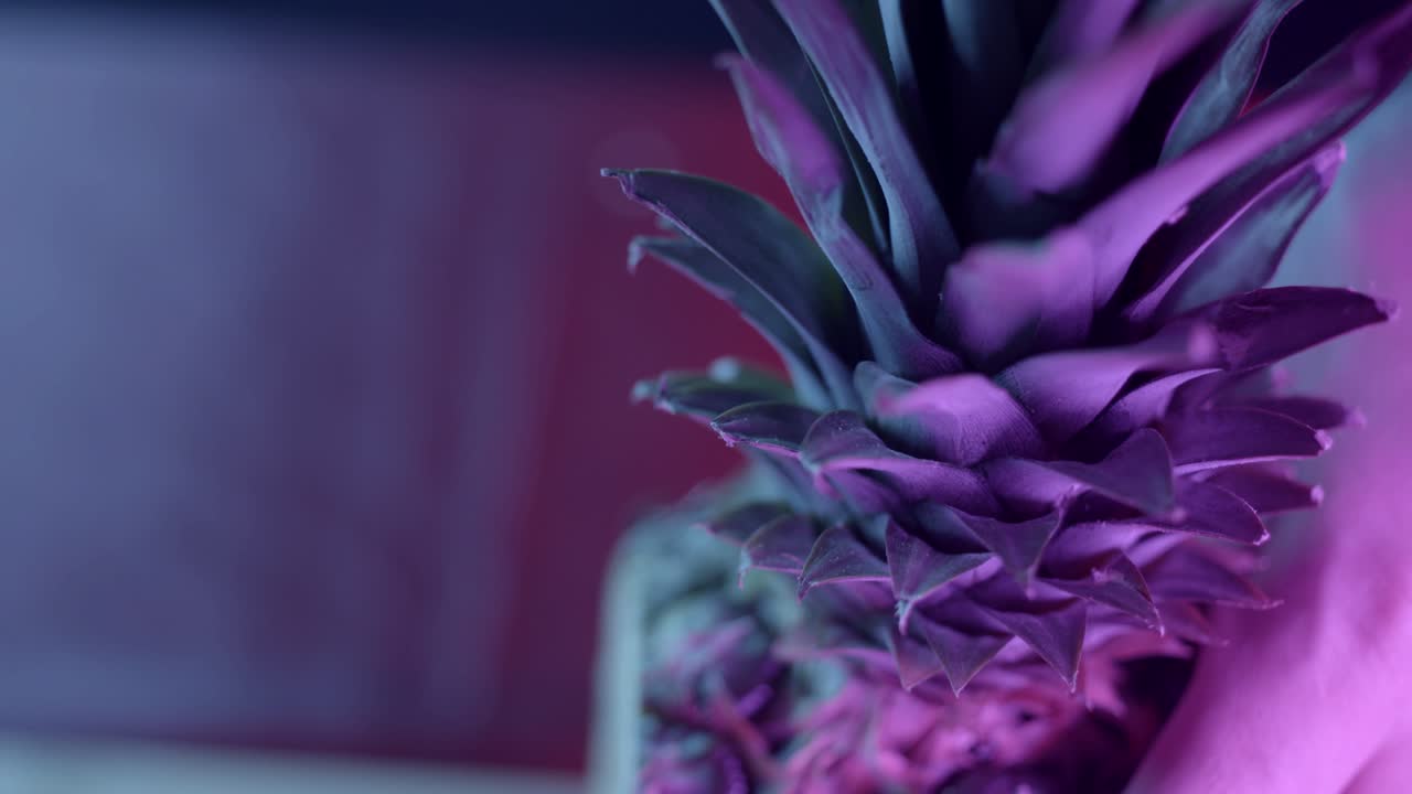 primer plano de una piña púrpura de neón