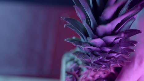 close-up of a neon purple pineapple