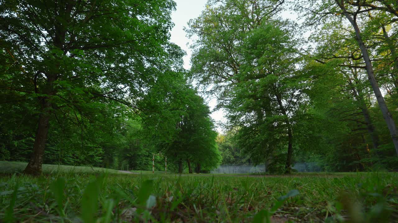 봄에 높은 그늘진 나무  ⁇ 에 있는 녹색 잔디 잔디의 낮은 각도  ⁇