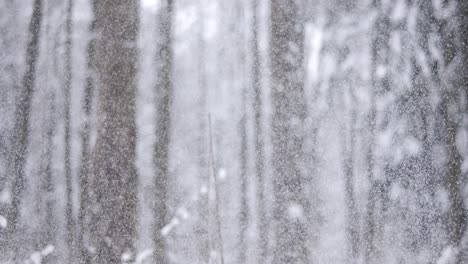 Winterlandschaft-Bei-Schneefall.-Abstrakter-Hintergrund-Für-Winterweihnachten-In-Superzeitlupe.