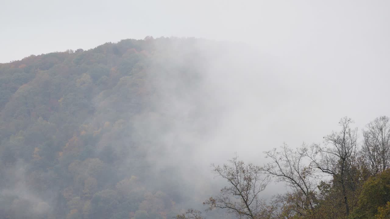 계곡의 짙은 안개로 뒤덮인 웨스트 버지니아 산맥의 정적 샷