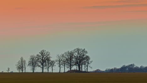 Silueta-De-árboles-Desnudos-En-El-Campo-Bajo-El-Vívido-Cielo-De-La-Puesta-De-Sol-Durante-La-Temporada-De-Otoño