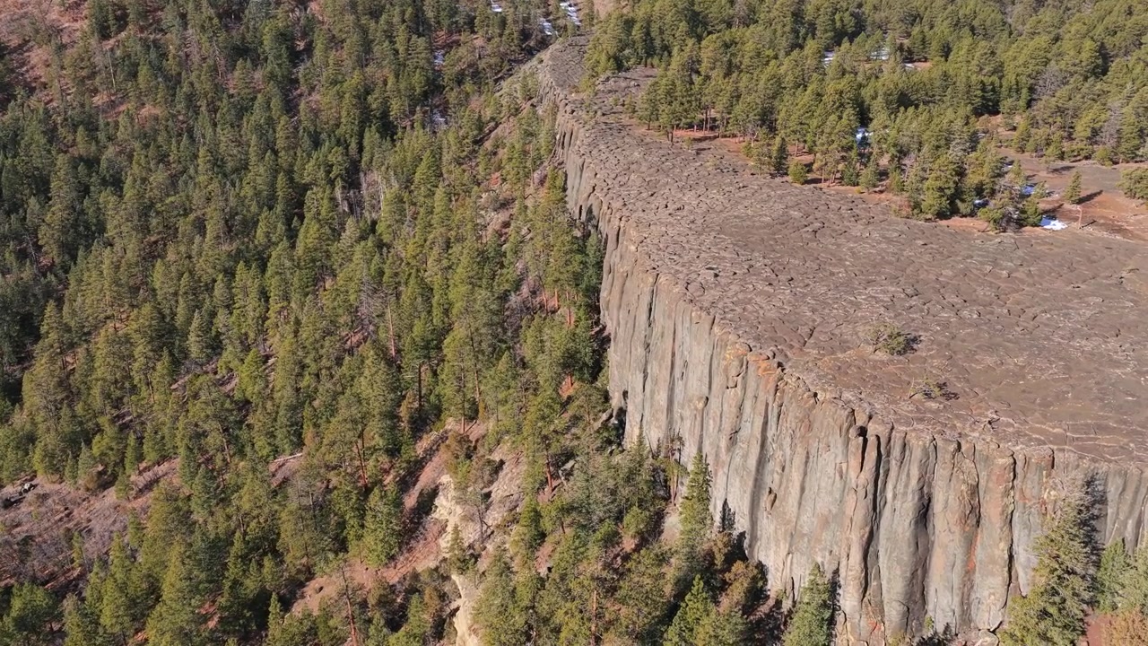 Vista aerea 4K di una scogliera vulcanica a picco con impressionanti giunti di basalto colonnare. Le massicce formazioni rocciose ignee verticali grigie si stagliano contro una fitta foresta di pini del sud-ovest