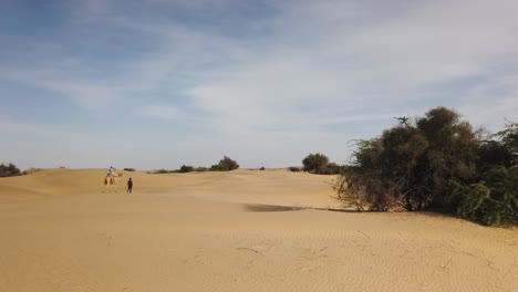 Cinematic-Tracking-Shot-of-Camel-and-Passenger-Walking-Across-Thar-Desert-Outside-Jaisalmer,-Rajasthan,-India