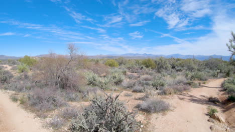 slow pan over desert landscape, shrubs, bushes, and cactus