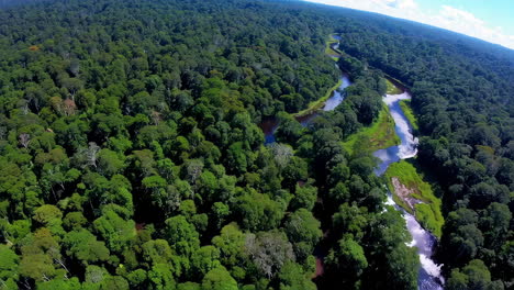 aerial view of a river winding through a lush rainforest