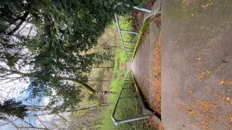 Concrete-stairs-surrounded-by-forest,-autumn-orange-colors