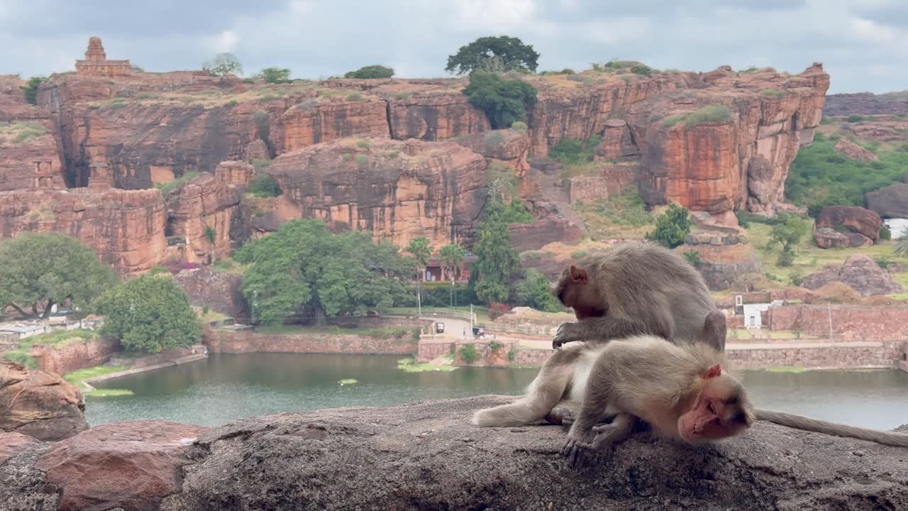 Monkeys playing near Badami Cave No. 4, with Agastya Lake in the background and majestic red sandstone hills, creating a lively scene amid the timeless beauty of Badami
