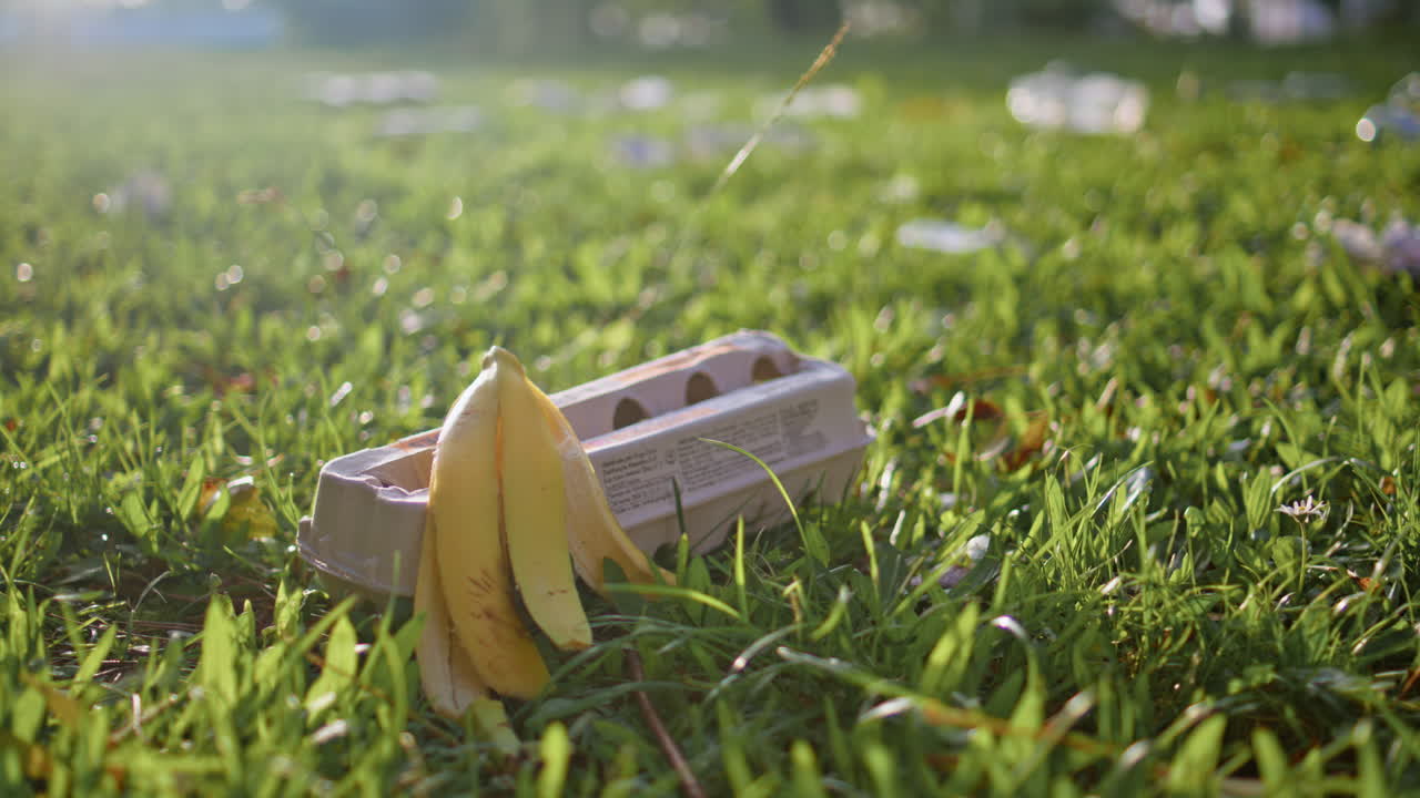 basura basura parque de hierba verde a la luz del sol. embalaje desechado en el verde