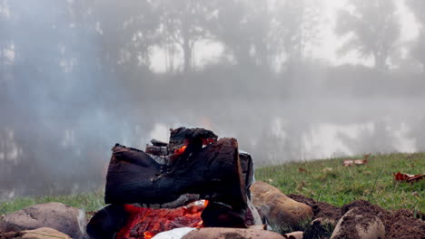 fuego, llama y hoguera para acampar en el bosque