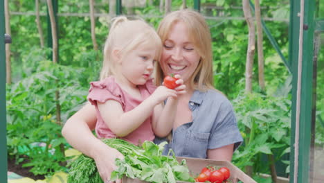 Mother-And-Daughter-Holding-Box-Of-Home-Grown-Vegetables-In-Greenhouse