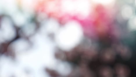 Abstract summer background with bokeh