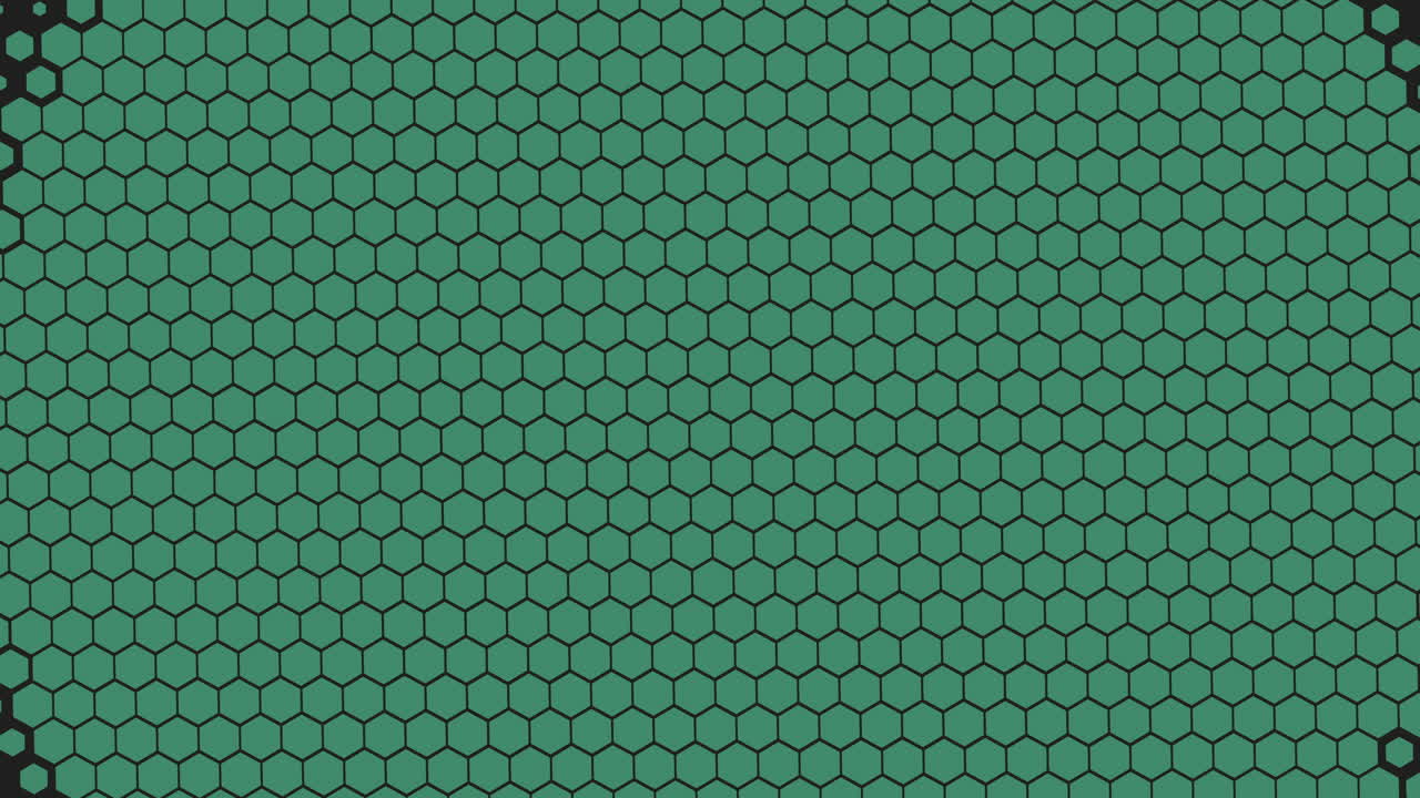 Black and white honeycomb pattern set against a solid green backdrop resembles a grid of hexagonal shapes, creating a visually appealing and geometrically patterned design