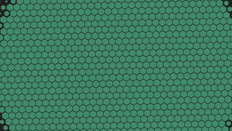 black and white honeycomb pattern set against a solid green backdrop resembles a grid of hexagonal shapes, creating a visually appealing and geometrically patterned design