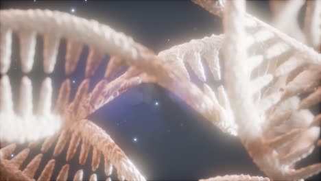 double helical structure of dna strand close-up animation