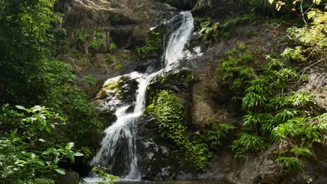 waterfalls cascading down rock face with lush plants