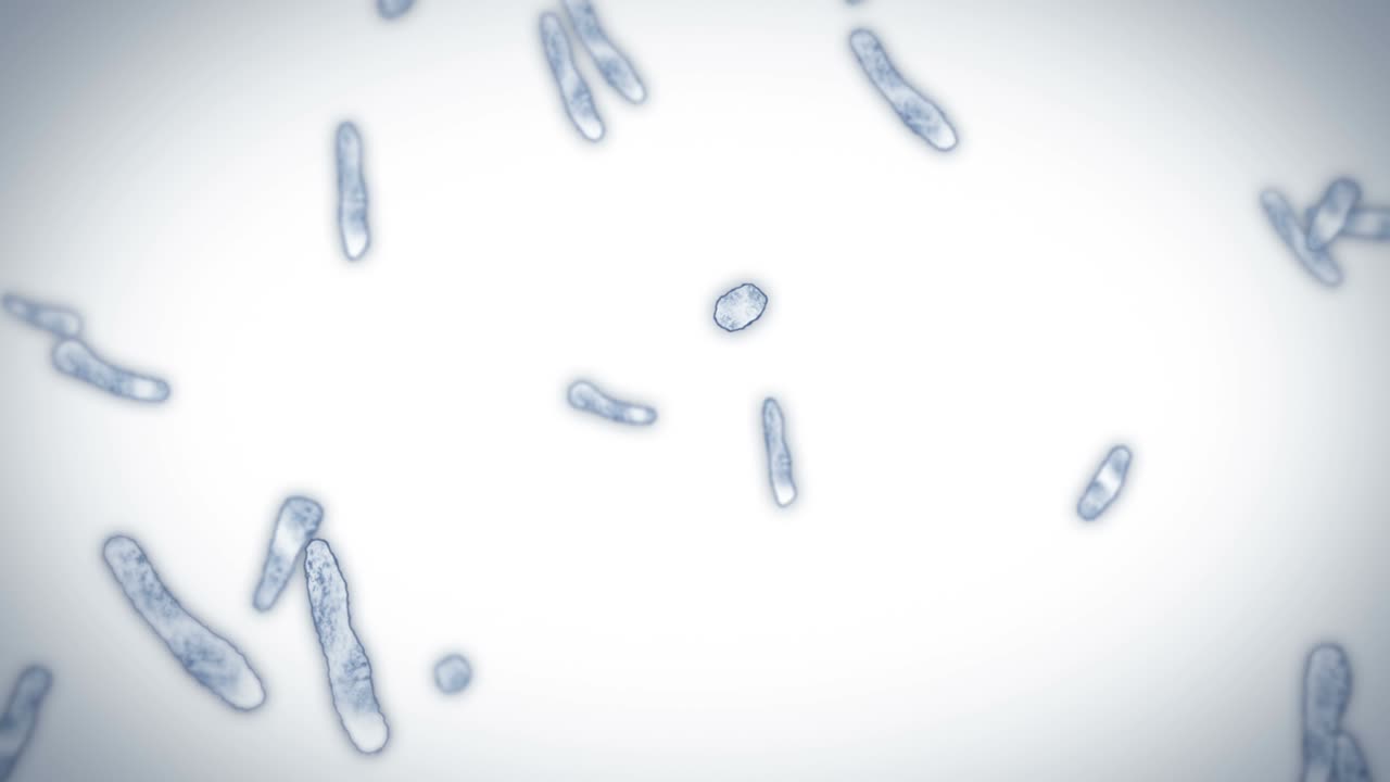 virus de célula en forma lineal. virus patógenos que causan infección. animación en bucle de virus humanos. microorganismo bacteriano. brote de enfermedad viral.