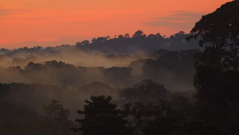 Misty evening light paints Peru’s rainforest canopy in Tambopata with soft orange and purple hues.
