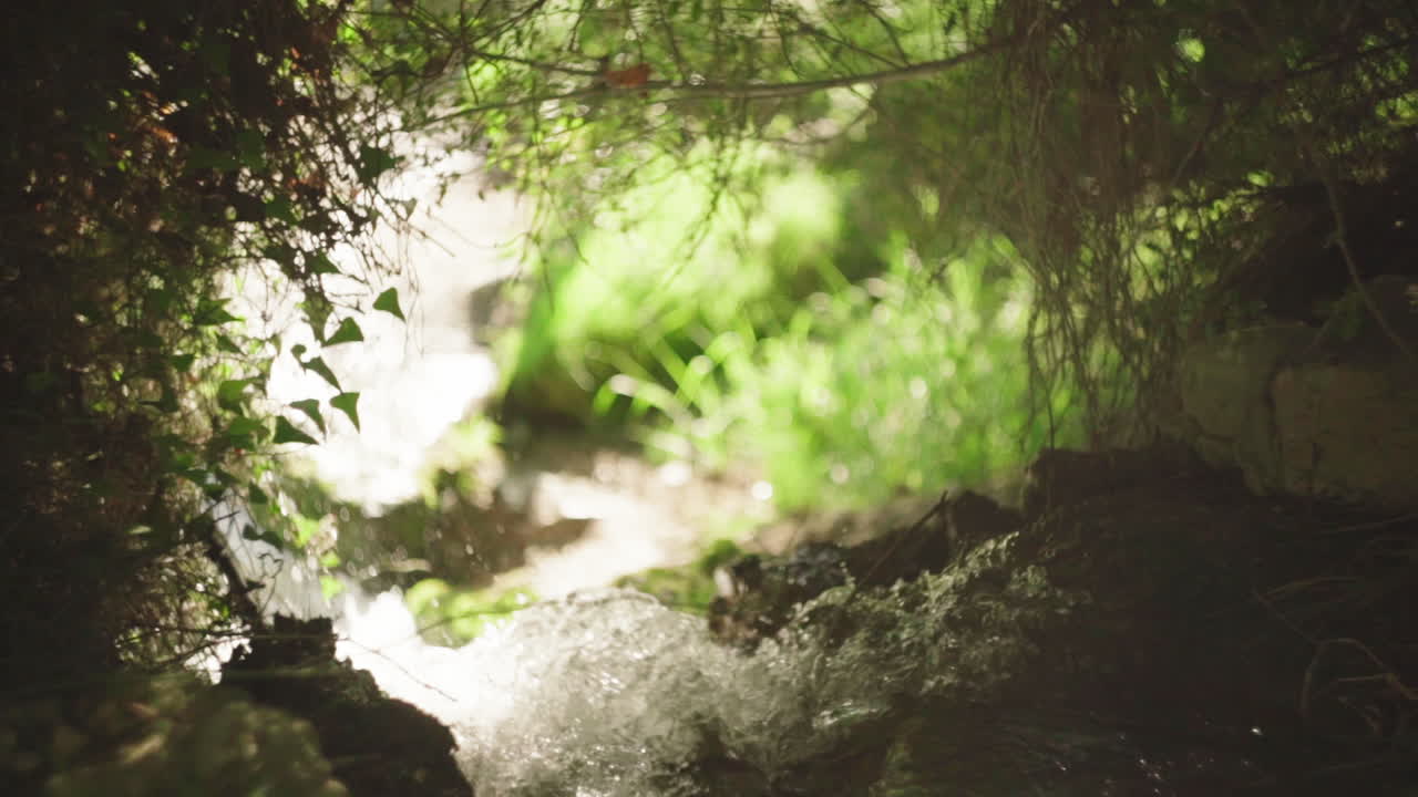 숲 속의 바위 아래로 흐르는 빠른 강