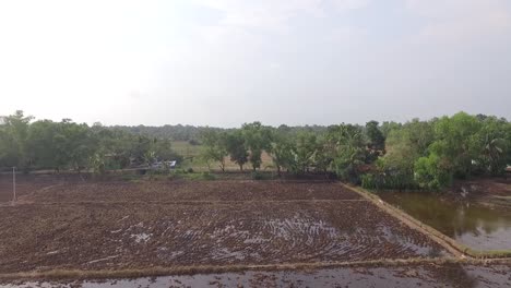 Preparación-Del-Campo-Principal-Para-El-Cultivo-De-Arroz,-Campos-De-Arroz-Llenos-De-Agua,-Tiro-Aéreo,-Listo-Para-El-Cultivo-De-Arroz,-Campos-Agrícolas-En-Llamas