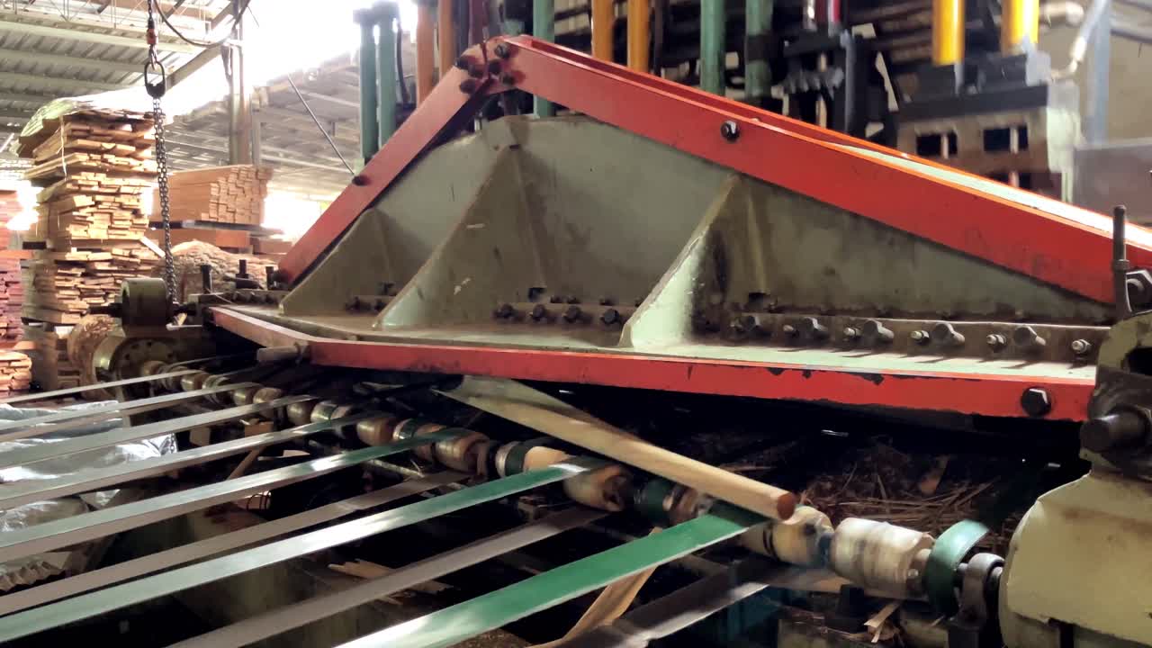 Woodworking Industry: Automatic Slicing Machine Producing Natural Veneer