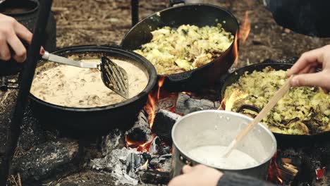 explorers cooking delicious lunch on bonfire, close up view