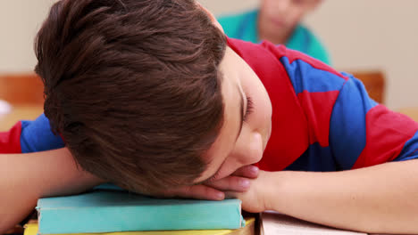 little boy sleeping on a book in classroom