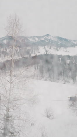 winter landscape with forestry mountains seen out window with hoar of country house in wilderness. wild nature in gorny altai region on winter day closeup